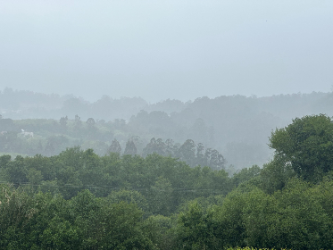 男人看午夜大片免费