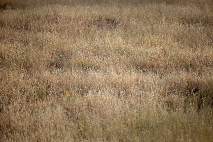 2019高清一本道理在线观看