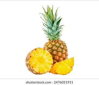 3d 无尽 动漫 可爱 视频