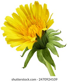 未成满十八禁止免费网站1