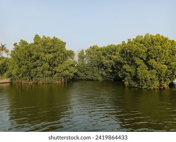 2020国自产拍精品网站