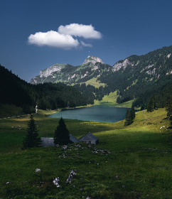 丰满浑圆的40岁熟女自拍微博