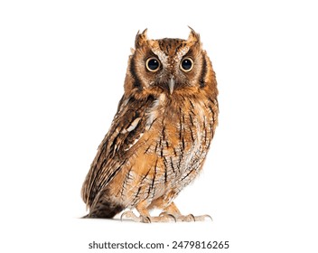 三娃非亲生判决引发的法律与伦理思考