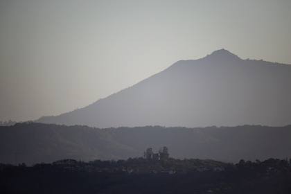 光棍电影：探讨单身生活与爱情观的幽默之旅
